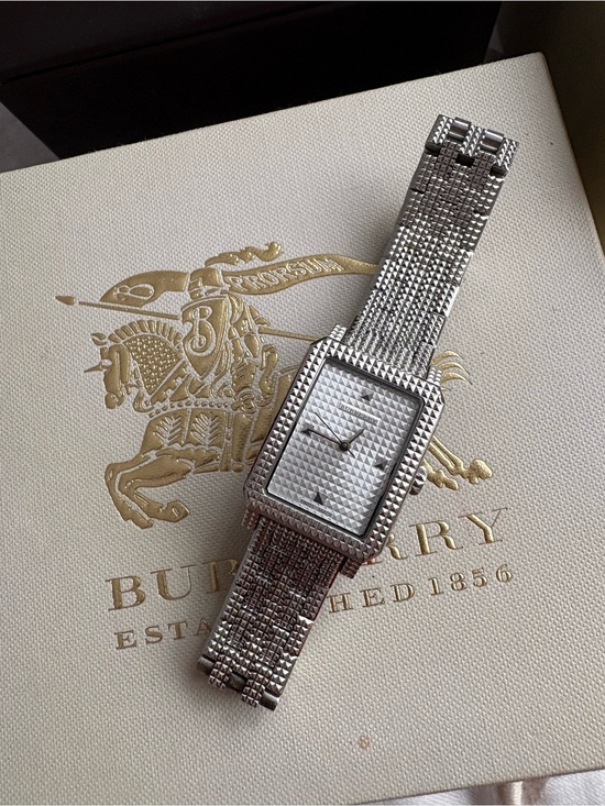Burberry Accessories - Burberry Silver Watch Links & Replacement Pins